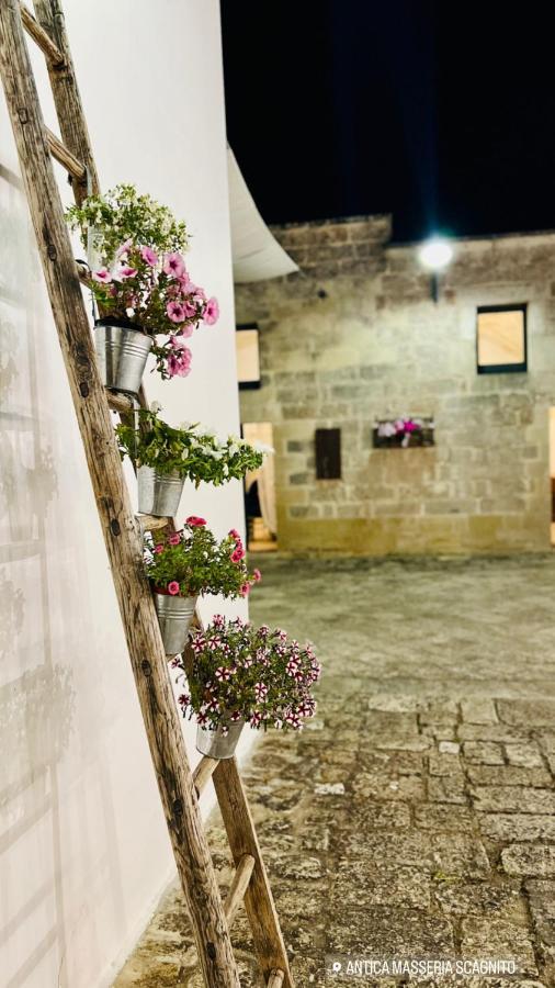 Carpe Diem Otranto Apartment 5 Posti Letto Eksteriør billede